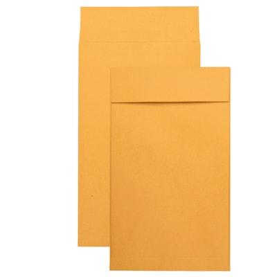 EXPANSION ENVELOPE 10X15X2