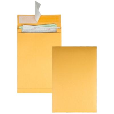 EXPANSION ENVELOPE 10X13X2