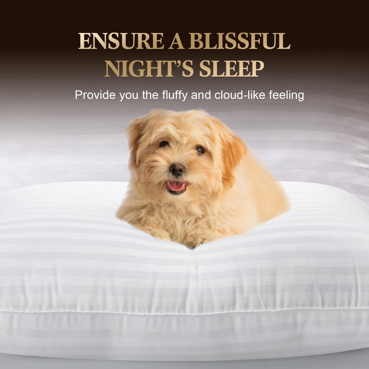 SHERWOOD Pillows Queen Size 2 Pack Hotel Pillow with Cotton Cover and Down Alternative Fiber Fill Bed Pillow for Sleeping (White, Queen 20x28 inch)