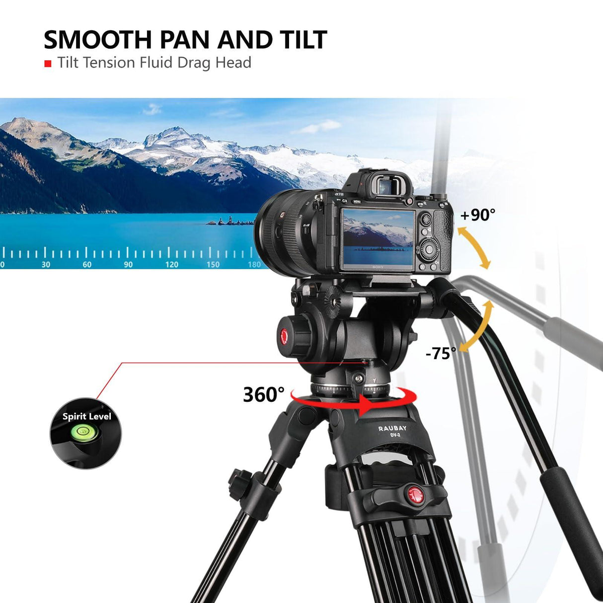 RAUBAY DV-2 Professional Fluid Head Video Tripod System, 69" Heavy Duty Camera Stands with Ground Spreader, Aluminium Twin Leg, QR Plate, Max Load 17lbs for DSLR, Digital Cine Style, Camcorder