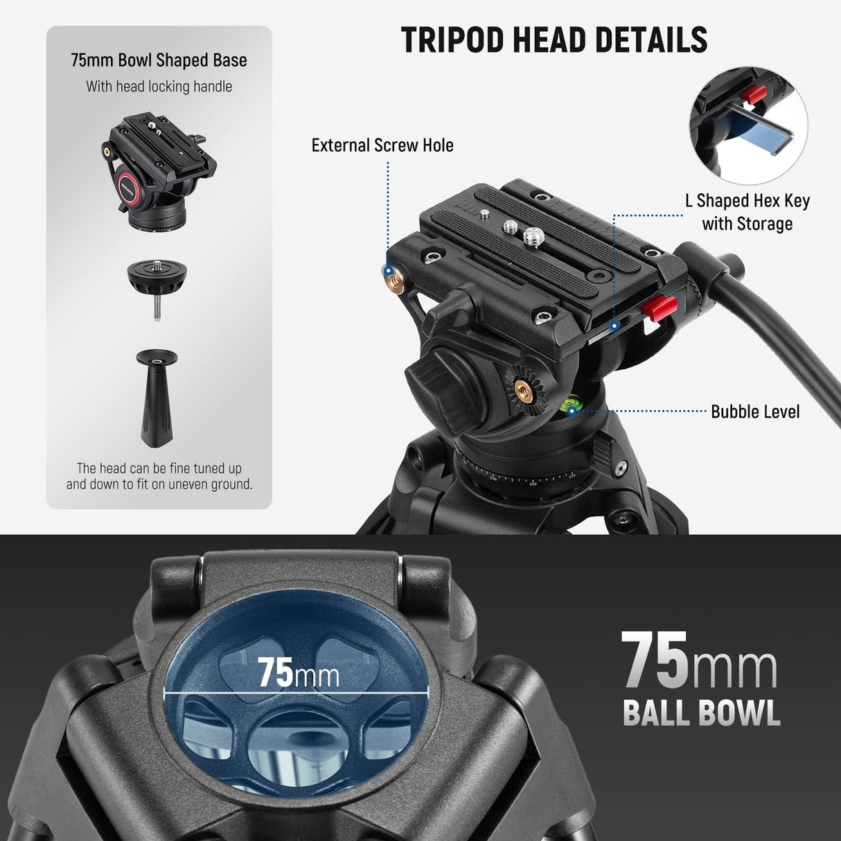 NEEWER 74" Video Tripod with Fluid Head, QR Plate Compatible with DJI RS Gimbals, Aluminum Heavy Duty Camera Tripod Professional for DSLR Cameras Camcorders, Max Load 17.6lb/8kg, TP74