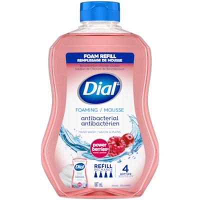 DIAL PWR BERRIES HNDSOAP 887ML