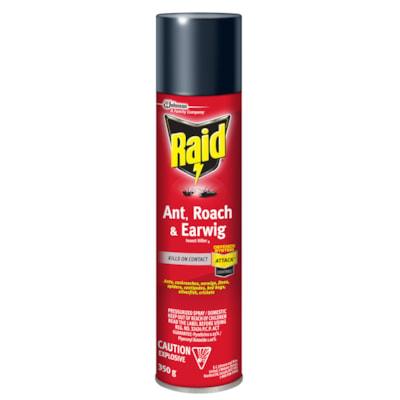 RAID ANT ROACH & EARWIG KILLER