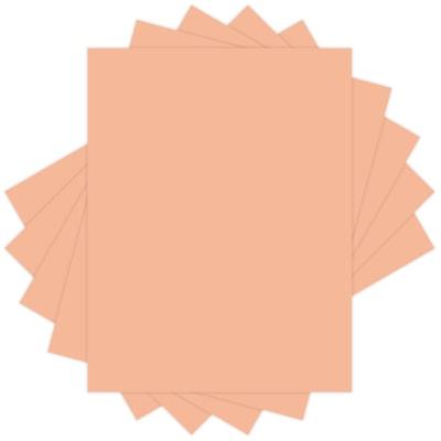 LETTERMARK SALMON LTR