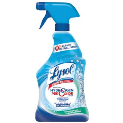 LYSOL HP BATH DISIN SB 650ML