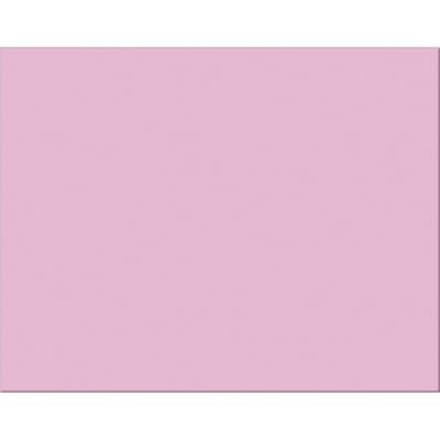 BOARD BRISTOL 2PLY PINK 25/PKG