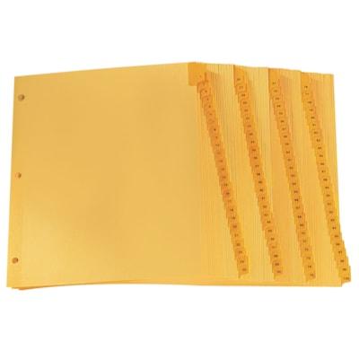 BINDR INDX NUM.100TAB LTR BUFF