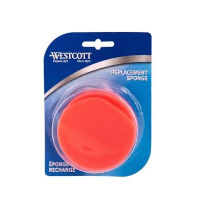 REPLACEMENT SPONGE FOR DISH
