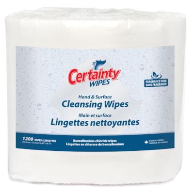 CERTAINTY SURFACE WIPES 4/CT
